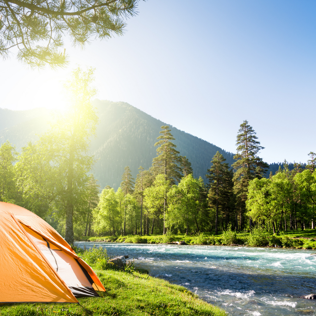 We Are Going Camping