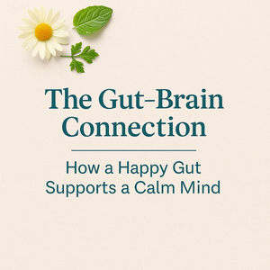 🌼 The Gut-Brain Connection: How a Happy Gut Supports a Calm Mind