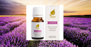Health Benefits of Lavender Essential Oils and How to Use it