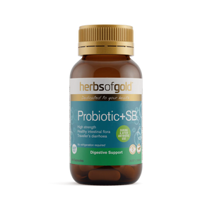 Probiotic + SB 60c - Herbs of Gold