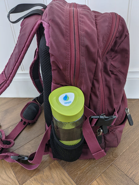 Alkaline Water Bottle